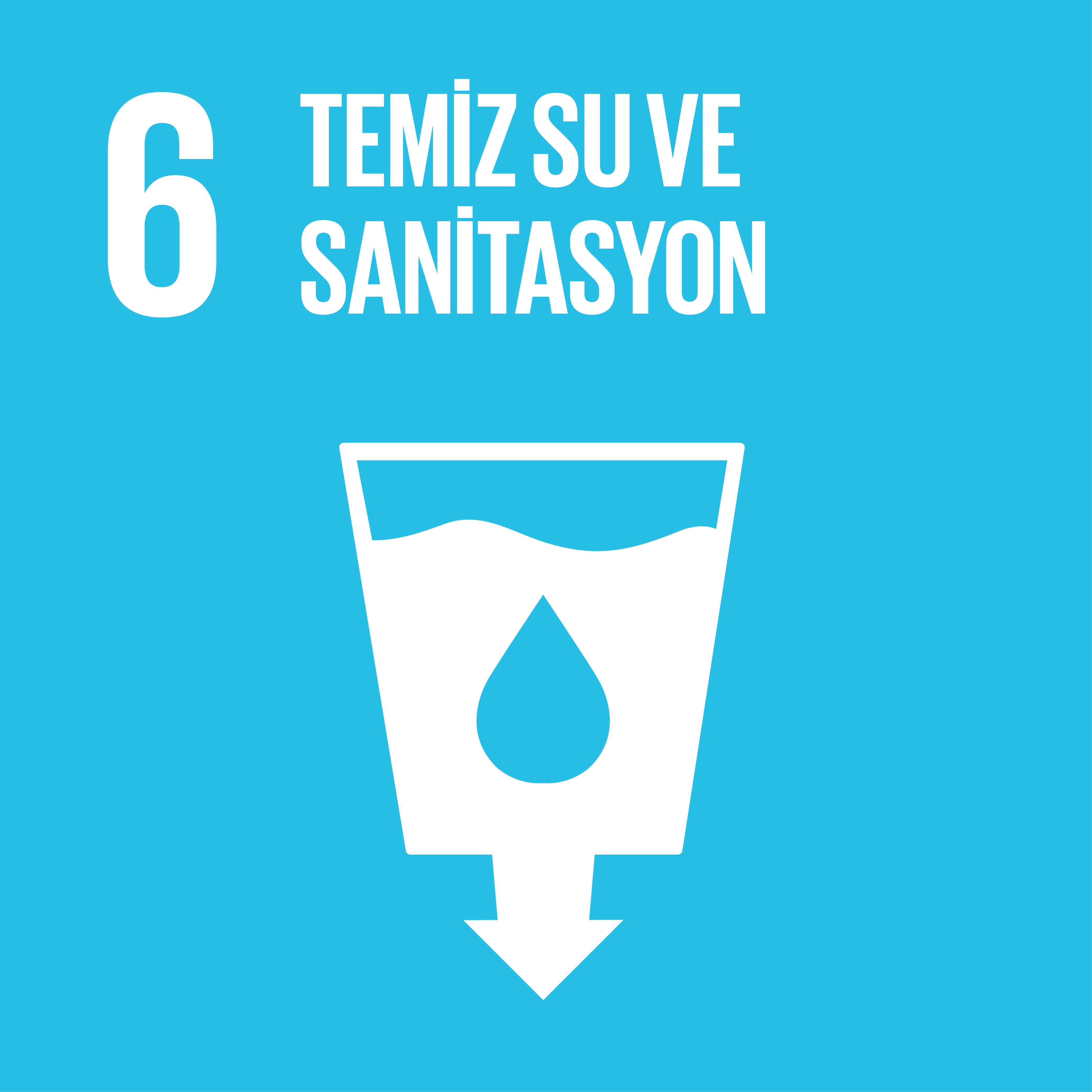 SDG06